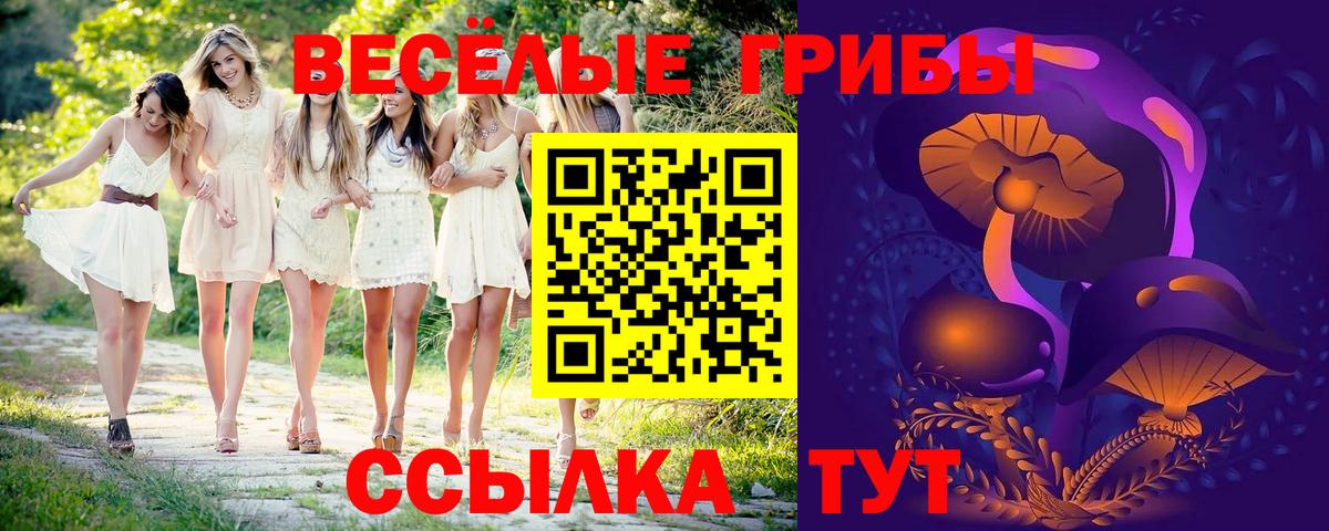 как найти   Псилоцибиновые грибы мухоморы  Вход с VPN  Зерноград 